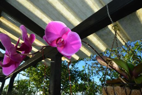 �berdachter Wohnwagen