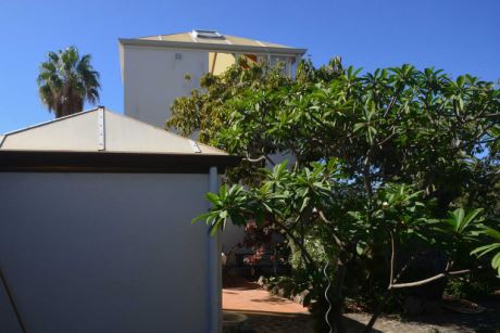 Schön angelegter Garten mit altem Baumbestand