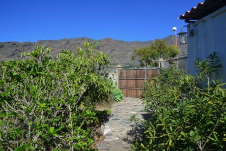 Schön angelegter Garten mit altem Baumbestand, Einfahrt