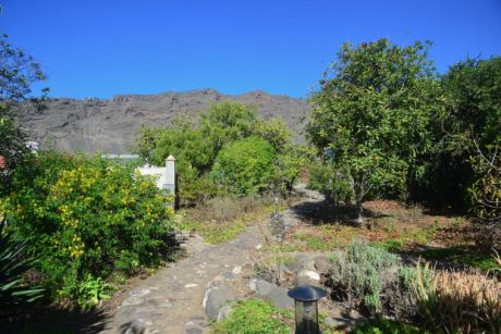 Schön angelegter Garten mit altem Baumbestand