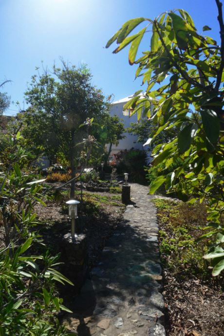 Schön angelegter Garten mit altem Baumbestand