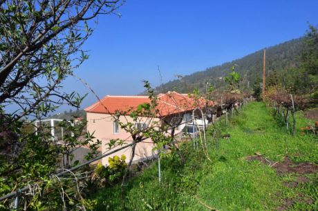 Viel Grn und Meer
