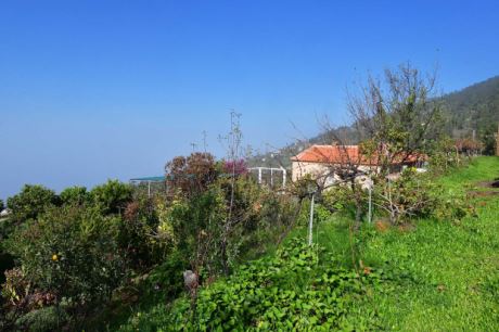 Viel Grn und Meer