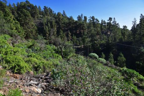 Eigener Barranco im Sden und im Norden
