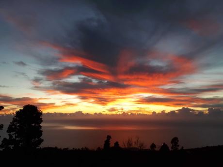 Fantastische Aussichten