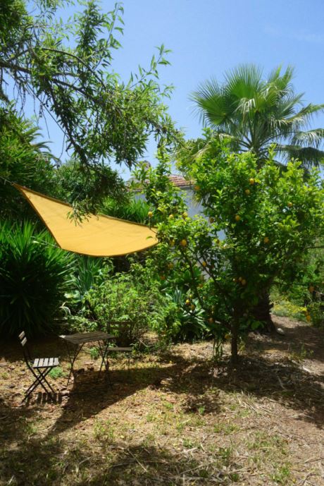Beschatteter Sitzplatz im Grünen am Zitronenbaum