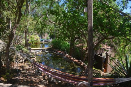 Blick von der Werkstatt 1 auf den Schwimmteich