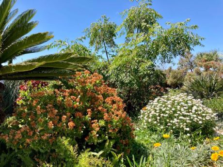 Sch�n angelegter Garten