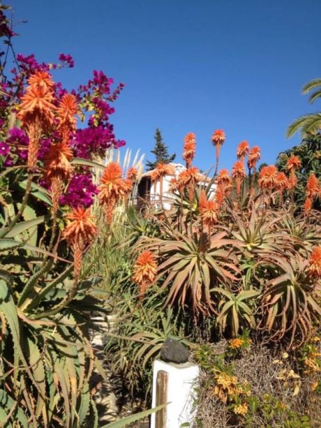 Sch�n angelegter Garten