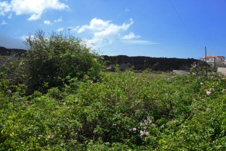 Blick ber das Grundstck nach Sdwesten