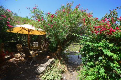 Lauschige Terrasse unter Oleanderblte