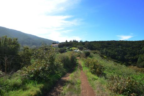 Zufahrt auf dem eigenen Grundstck