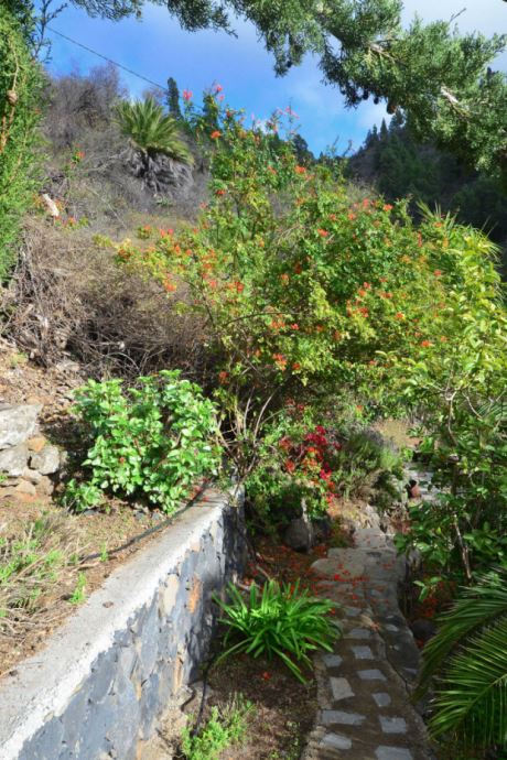 Gut angelegte Gartenwege