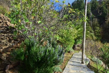 Gut angelegte Gartenwege