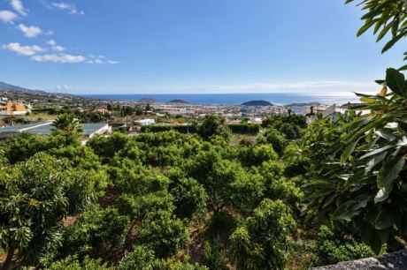 Sch�ner Blick auf die eigenen Fruchtb�ume und den Atlantik