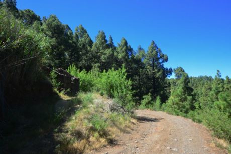 Zufahrt ber ffentlichen Waldweg