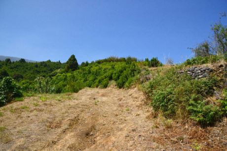 Viele Terrassen, die gerene wieder bepflanzt werden wrden