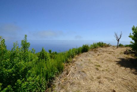 Bereits einige freie Terrassen fr eigene Pflanztrume