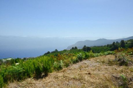 Bereits einige freie Terrassen fr eigene Pflanztrume