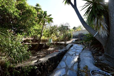 Schn angelegter Garten