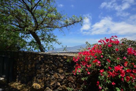 Bougainville