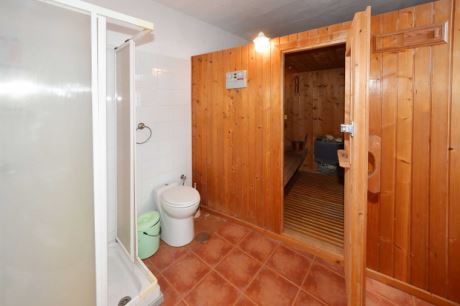 EG Sauna mit Badezimmer