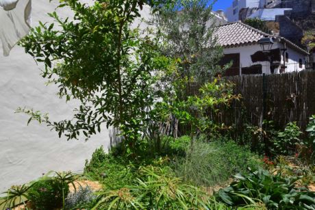 romantischer Innenhof