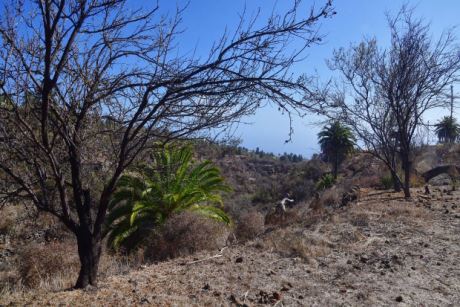 Sehr schne Lage am Barranco