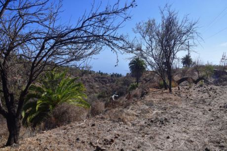Sehr schne Lage am Barranco