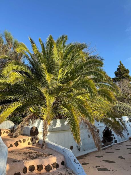 Bereich hiter dem Halbobergeschoss