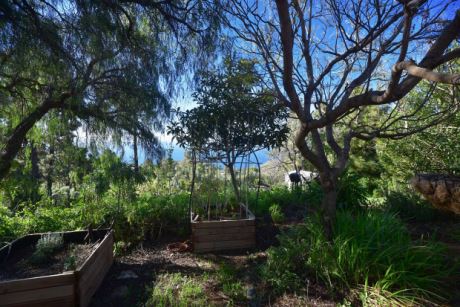 Sch�n eingewachsener Garten