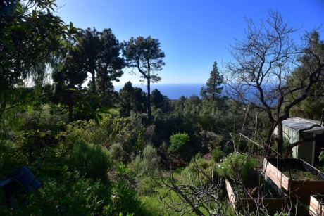 Sch�n eingewachsener Garten