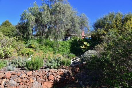 Sch�n angelegter Garten