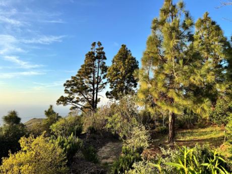 Sch�n angelegter Garten