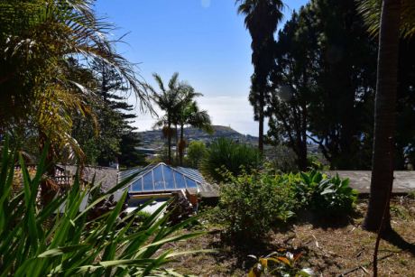 Sch�n eingewachsener Garten
