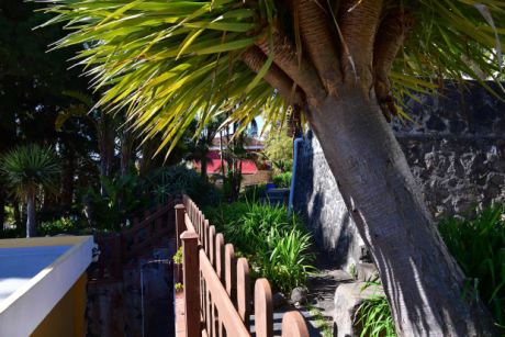 Drachenbaum, Wassertank f�r Gartenbew�sserung