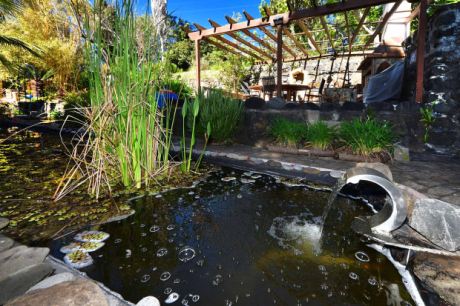 Gartenteich, Aussenk�che mit gro�em Essplatz