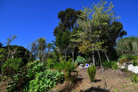 Sehr sch�n angelegter Garten