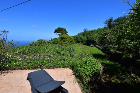 Hauptterrasse mit Garten