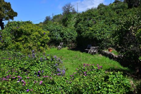 Hauptterrasse mit Garten