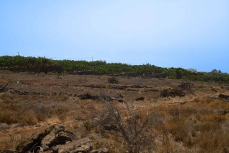 Sdseite Blick nach Westen