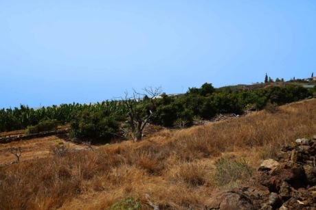 Sdseite Blick nach Nordwesten
