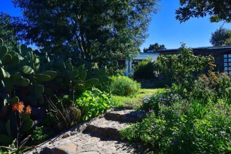 Sch�n angelegter Garten