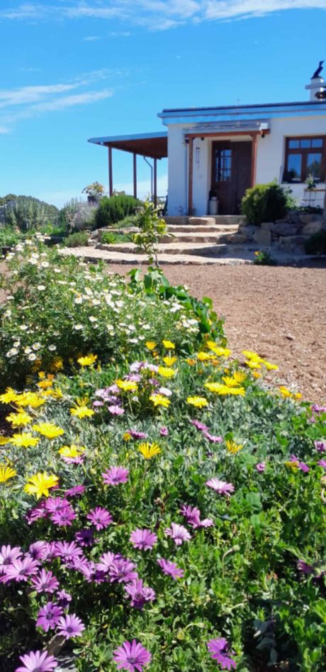 Sch�n angelegter Garten