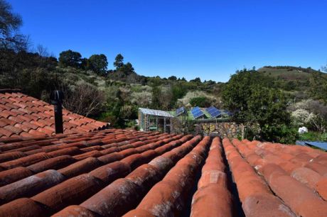 Sehr sch�n mit historischen Ziegeln sanierte D�cher