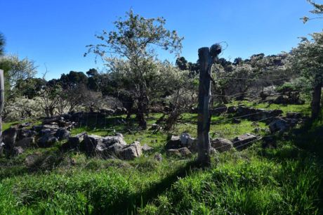 Era (historiscgher Dreschplatz)