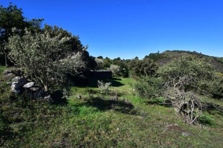 Viel Platz f�r eigene Projekte