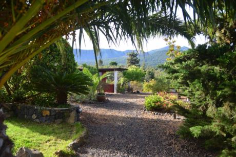 Sch�n eingewachsener Garten
