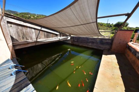 Beschwimmbarer Wassertank