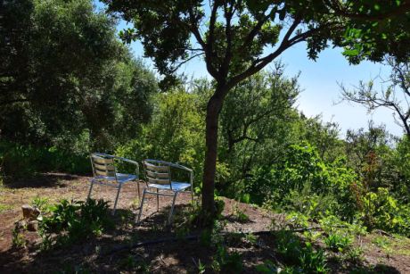 Idyllische Sitzpl�tze, nat�rlich beschattet